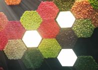 Doğa Moss Duvarlar Için 3d Akustik Duvar Panelleri Yeşil Bitki Dekorasyon Küf Geçirmez